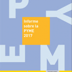 Informe sobre la Pyme 2017